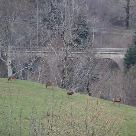 Отель Des Chazes 3*